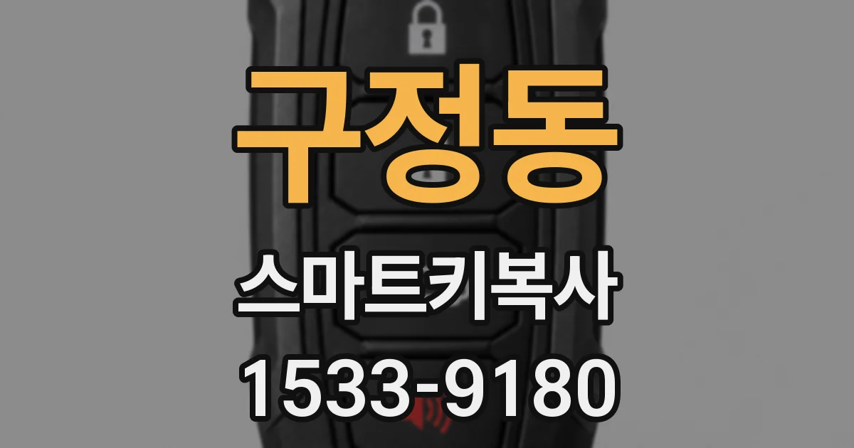 구정동 스마트키복사