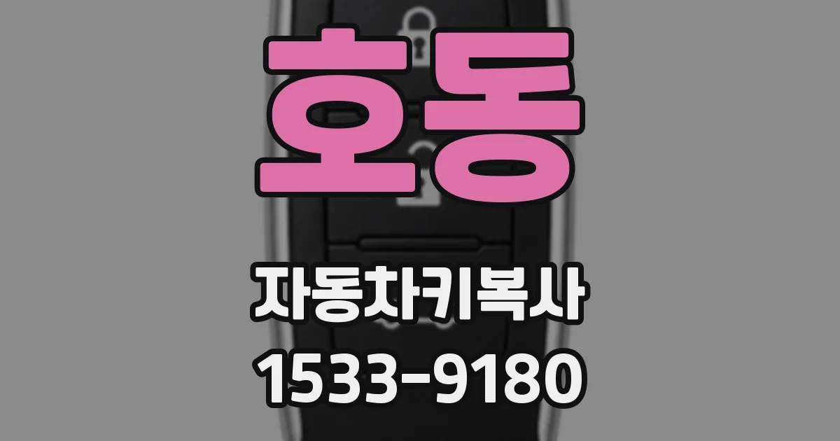 호동 자동차키복사