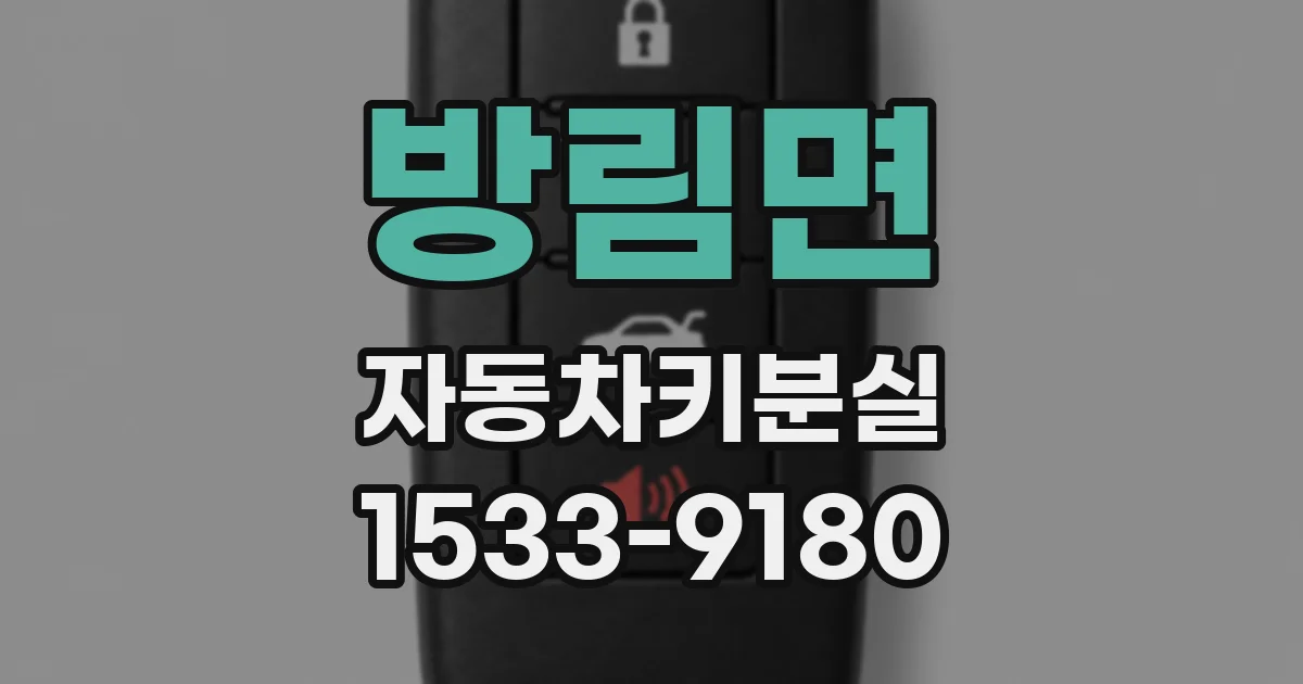 방림면 자동차키분실