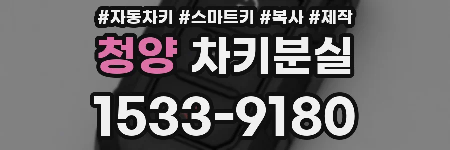 청양 차키분실
