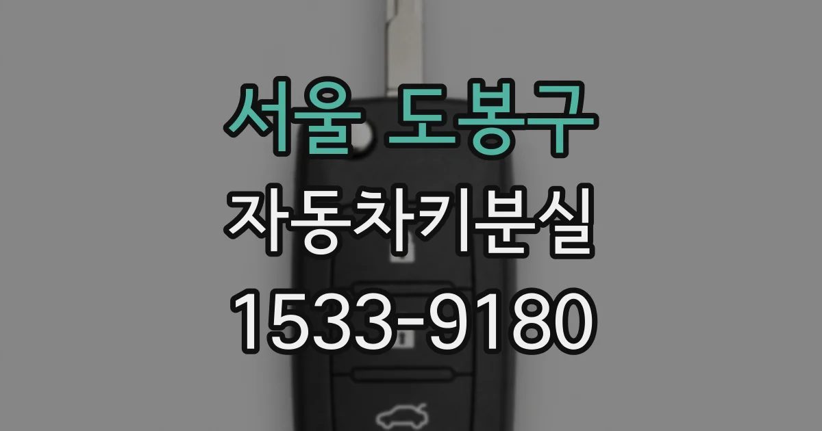 서울 도봉구 자동차키분실