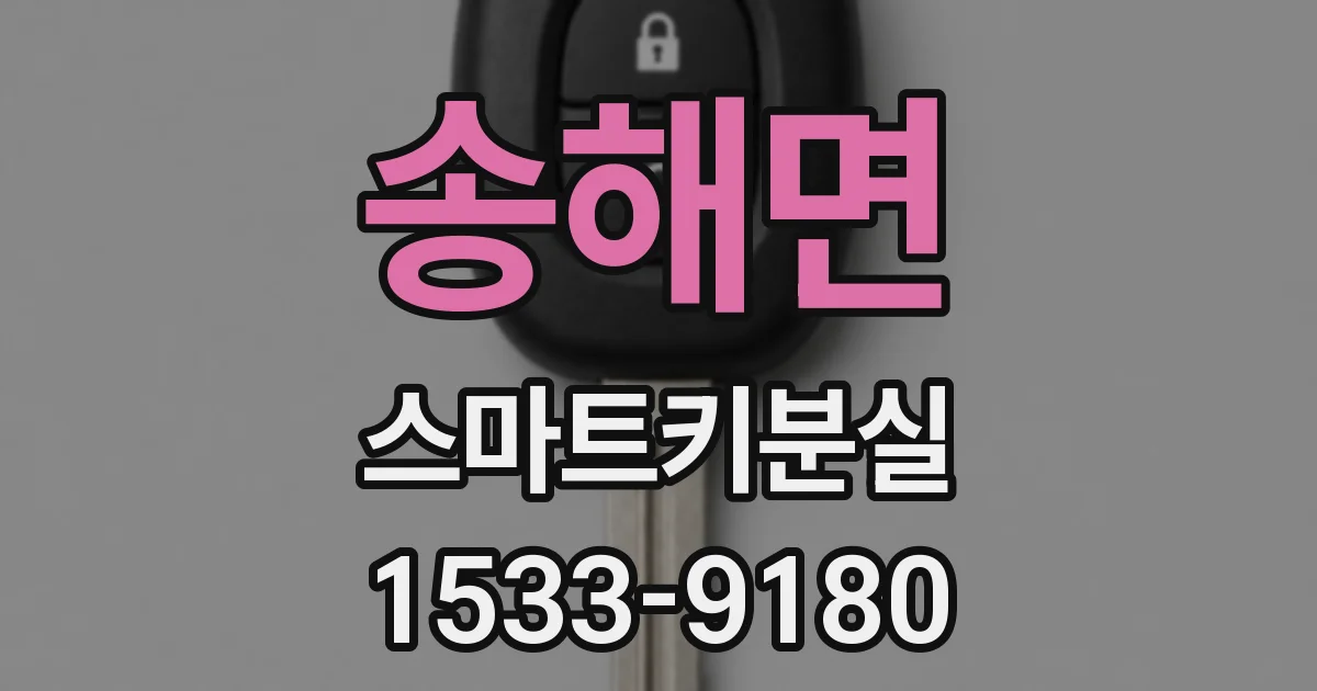 송해면 스마트키분실