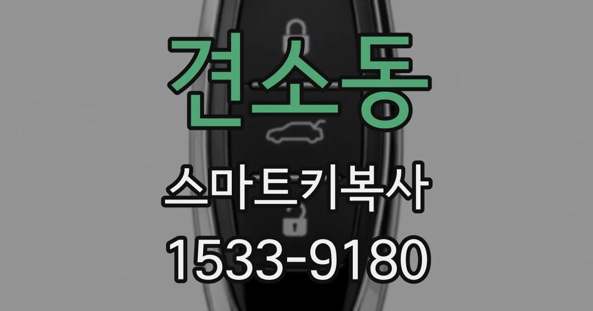 견소동 스마트키복사