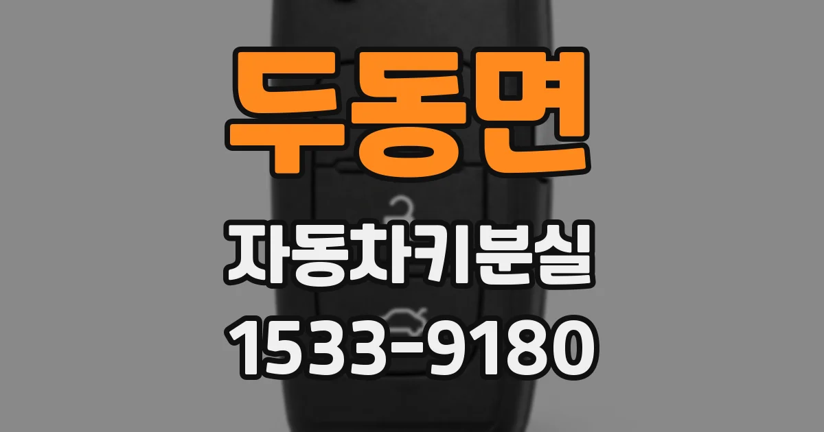 두동면 자동차키분실