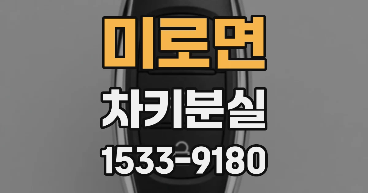 미로면 차키분실