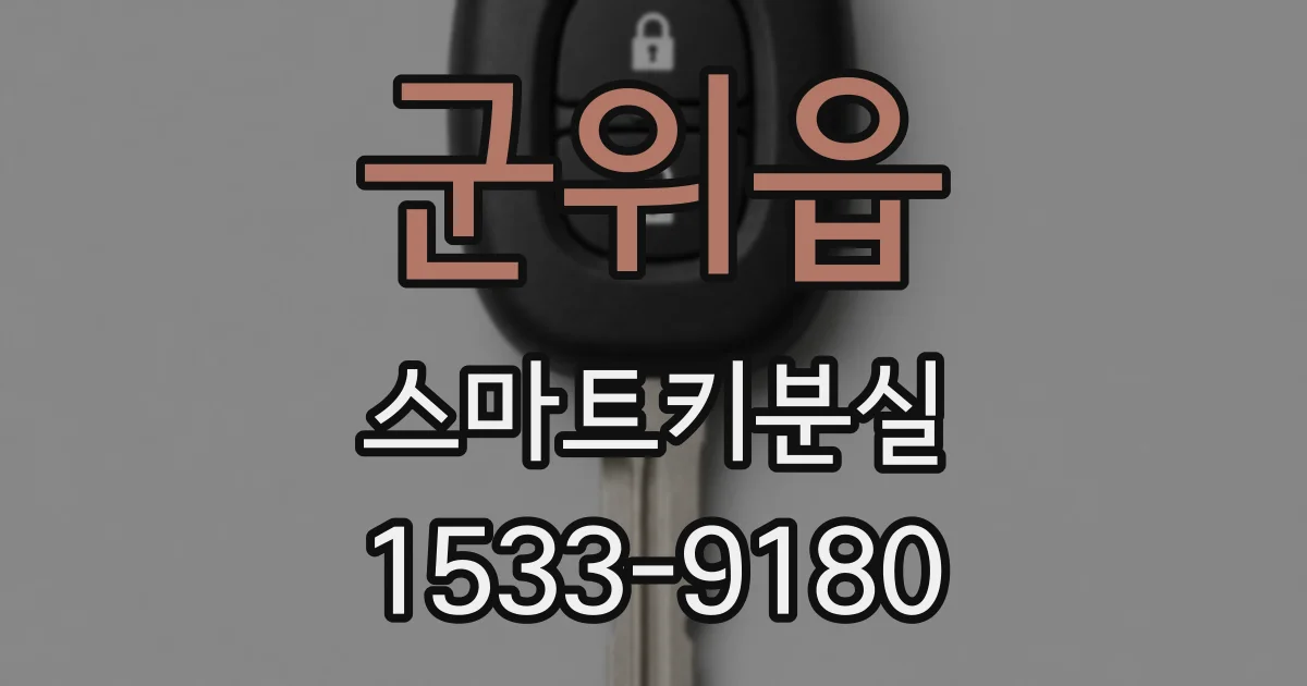 군위읍 스마트키분실