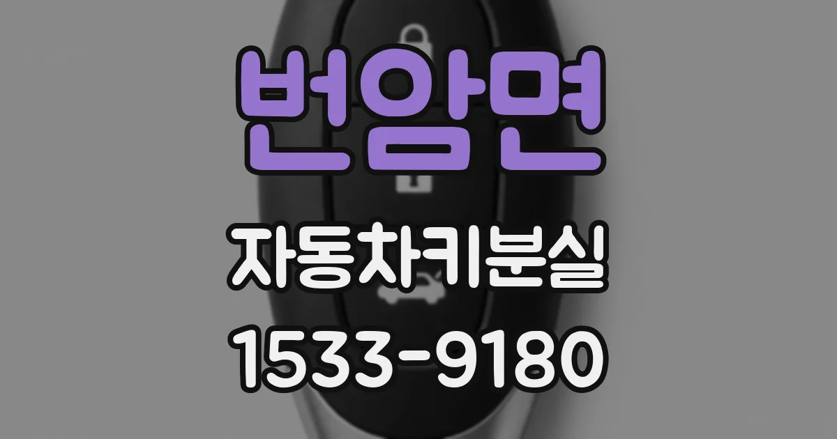번암면 자동차키분실