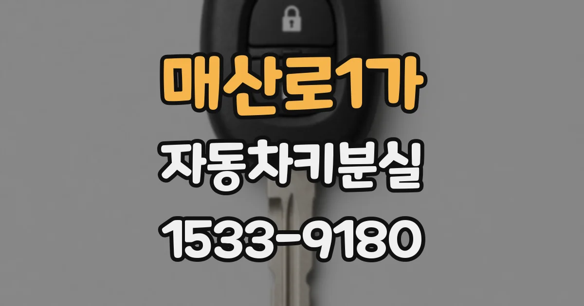 매산로1가 자동차키분실