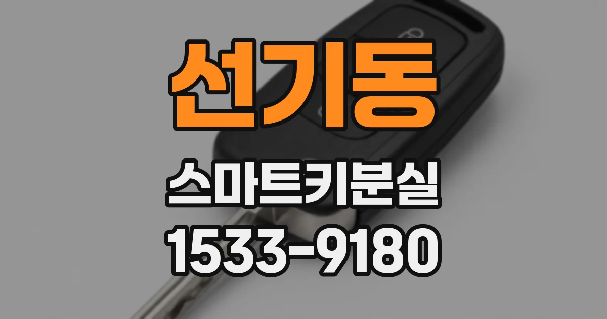 선기동 스마트키분실