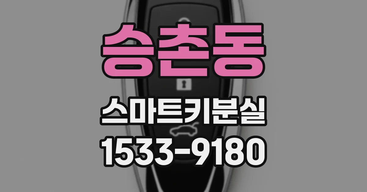승촌동 스마트키분실