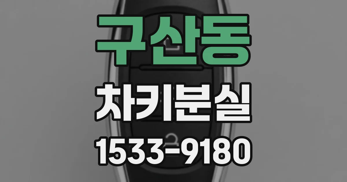 구산동 차키분실