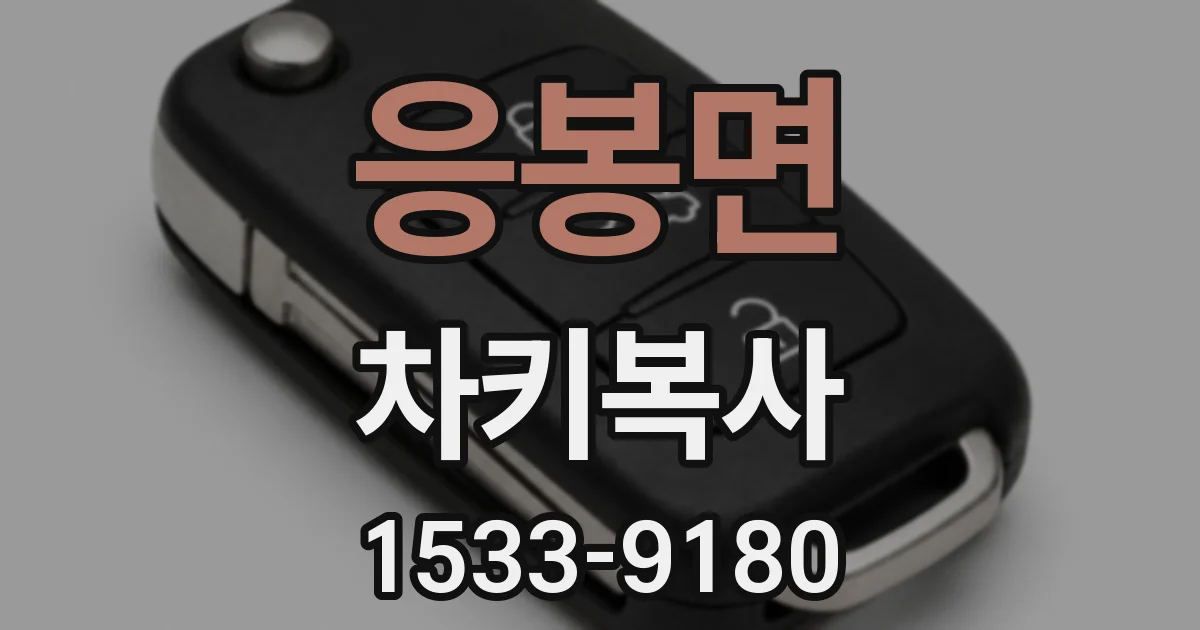 응봉면 차키복사