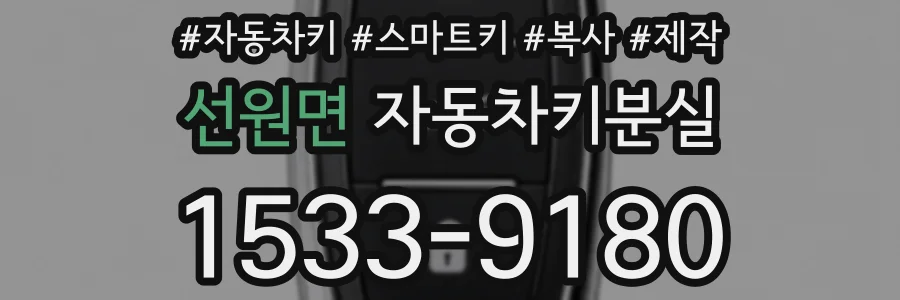 선원면 자동차키분실