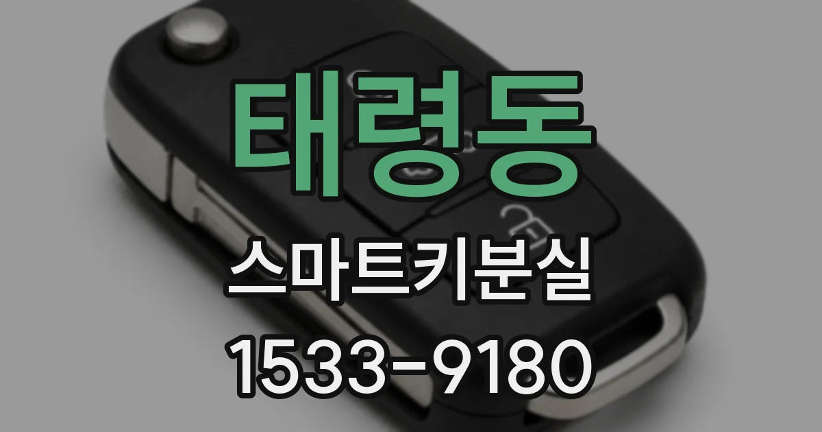 태령동 스마트키분실