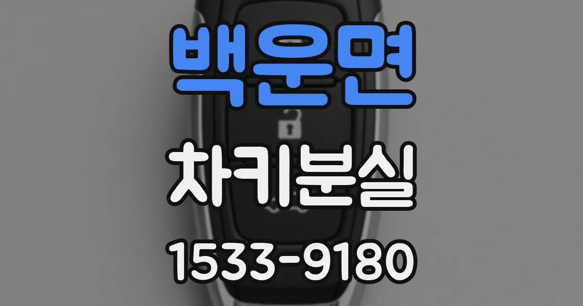 백운면 차키분실