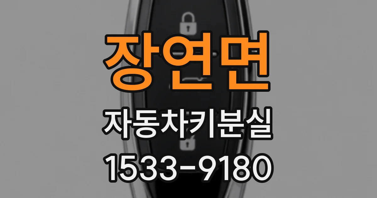 장연면 자동차키분실