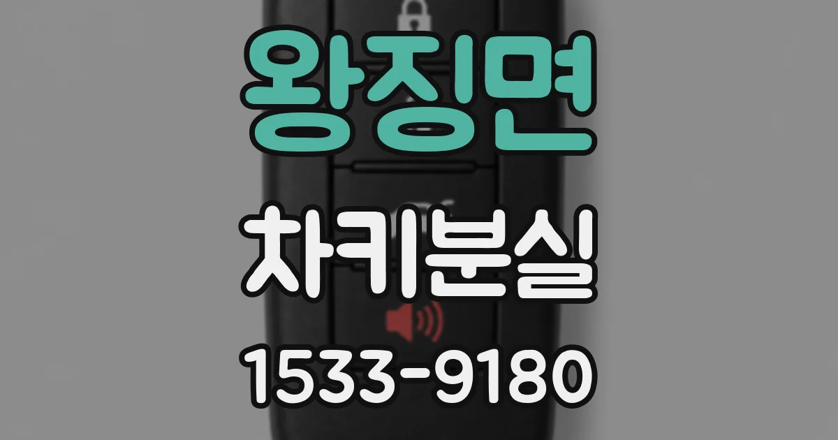 왕징면 차키분실