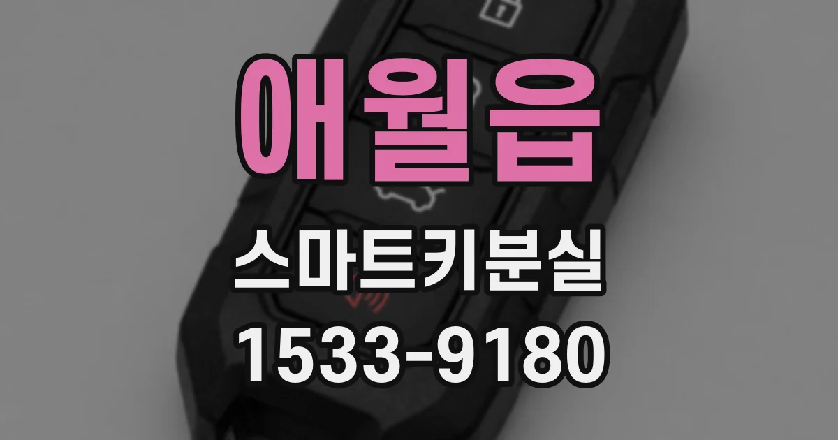 애월읍 스마트키분실