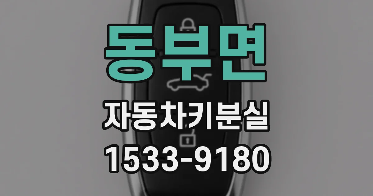 동부면 자동차키분실
