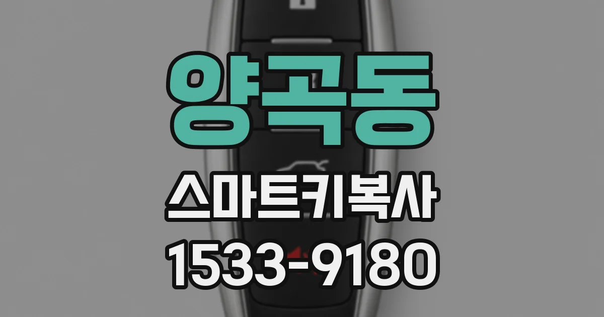 양곡동 스마트키복사