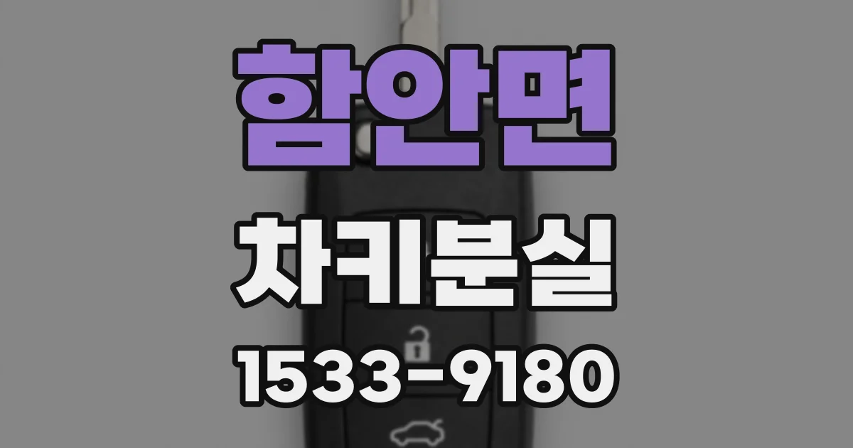 함안면 차키분실
