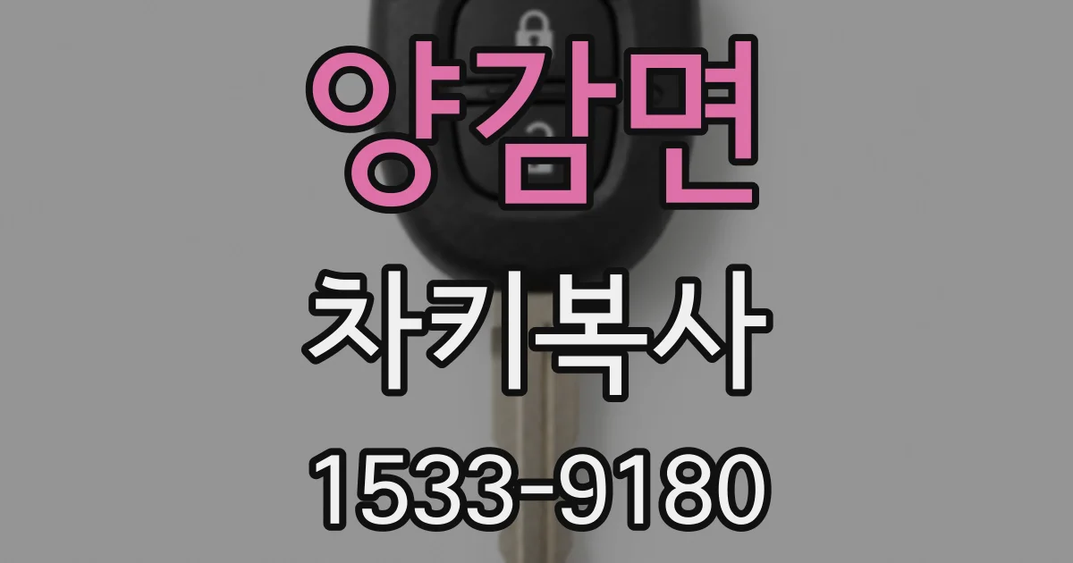양감면 차키복사