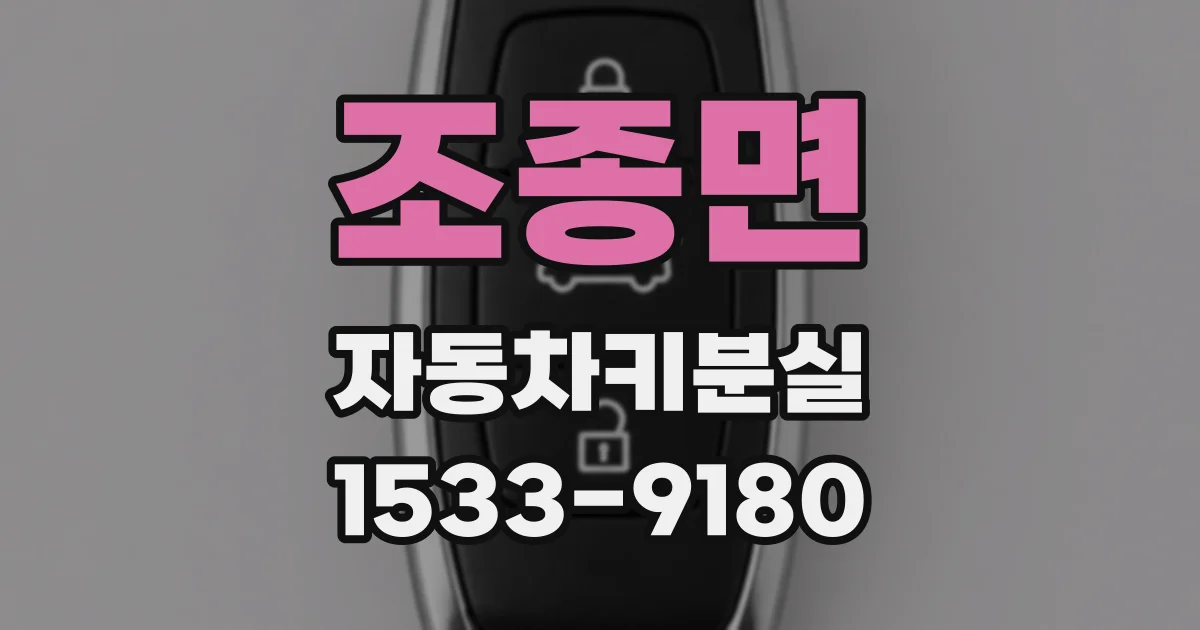 조종면 자동차키분실