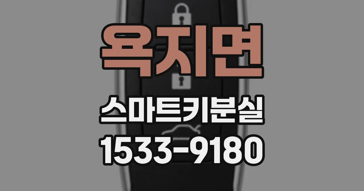 욕지면 스마트키분실