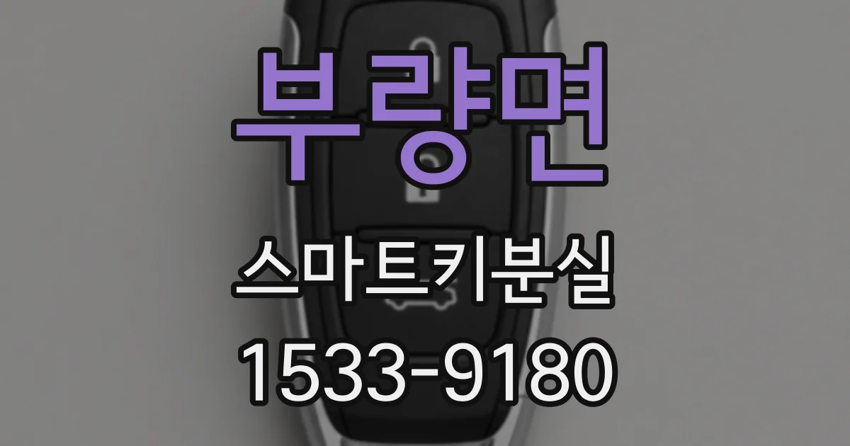 부량면 스마트키분실