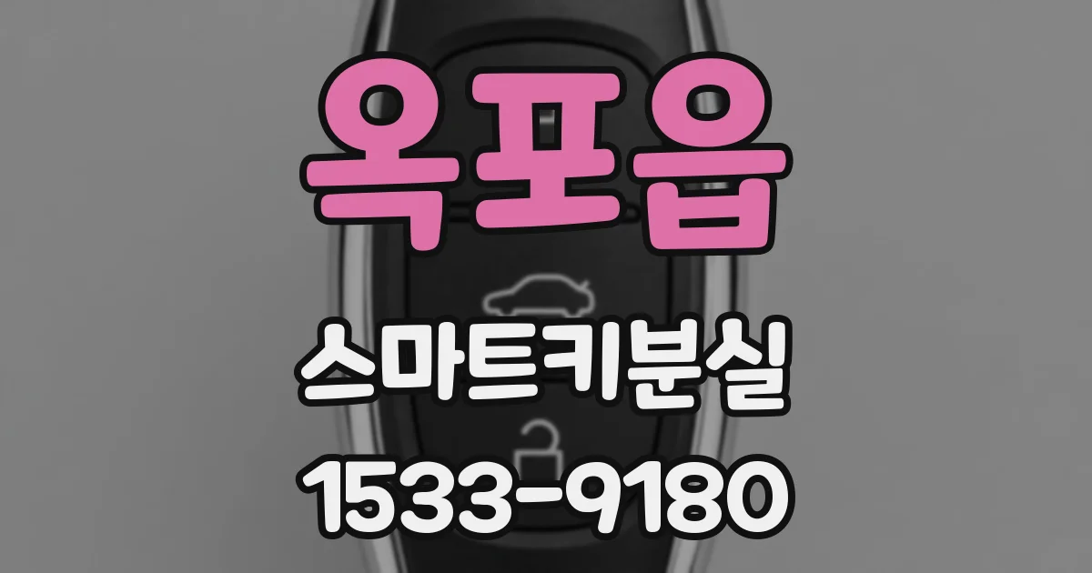 옥포읍 스마트키분실
