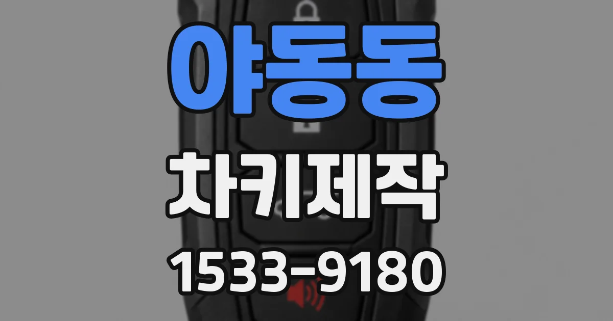 야동동 차키제작