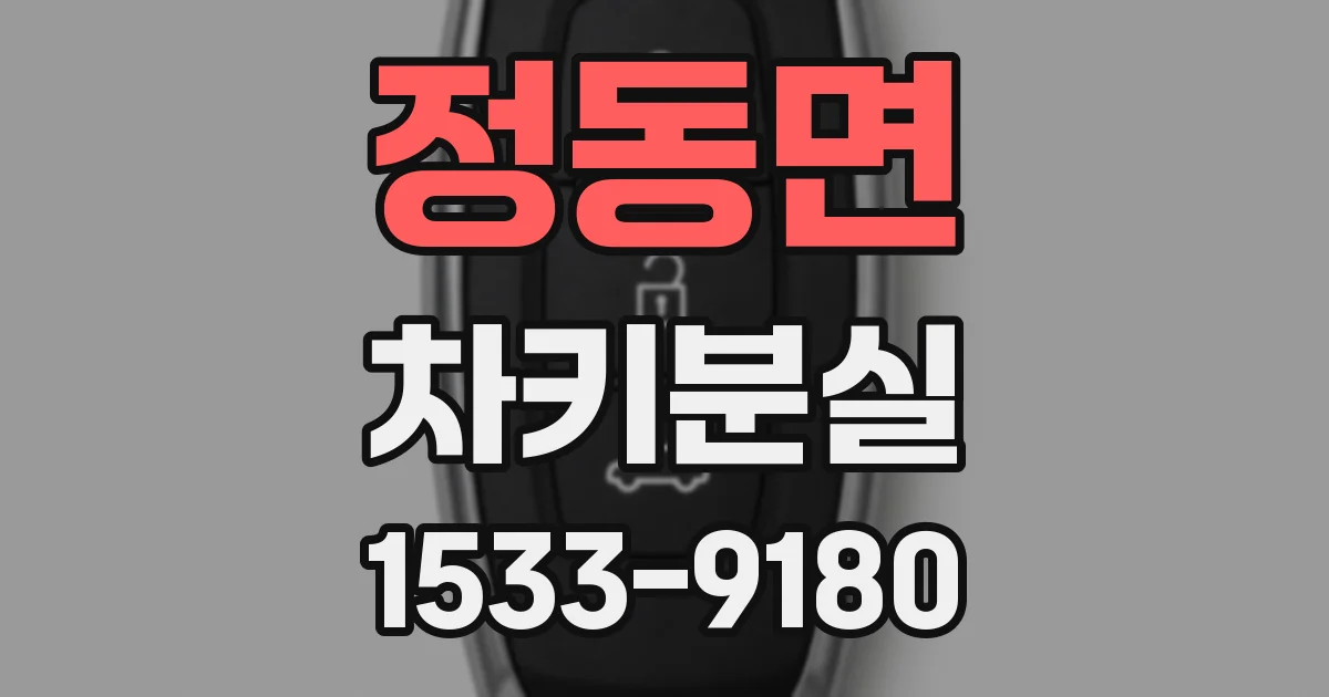 정동면 차키분실
