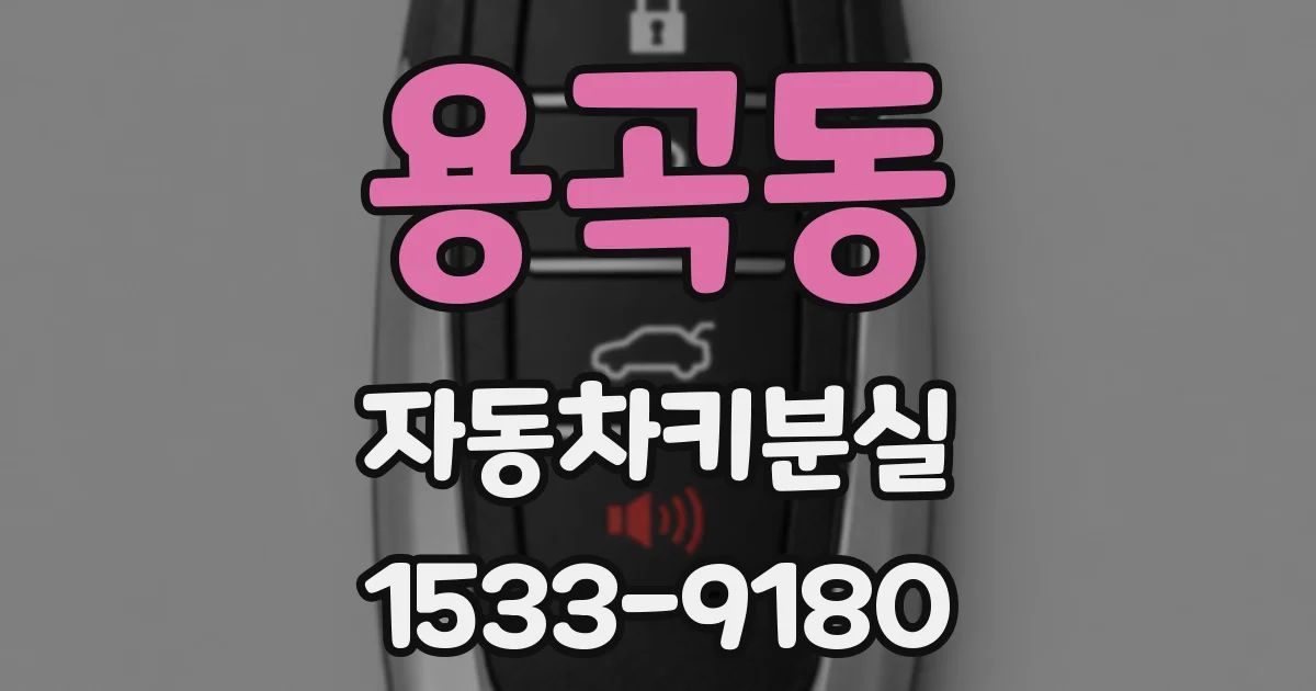 용곡동 자동차키분실