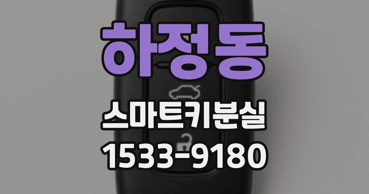 하정동 스마트키분실