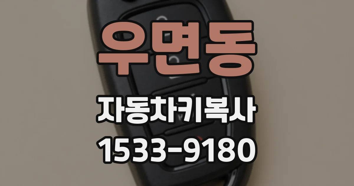 우면동 자동차키복사