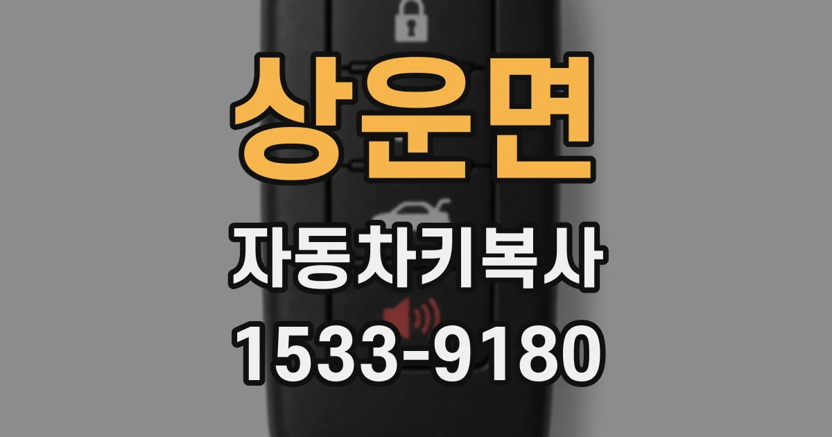 상운면 자동차키복사