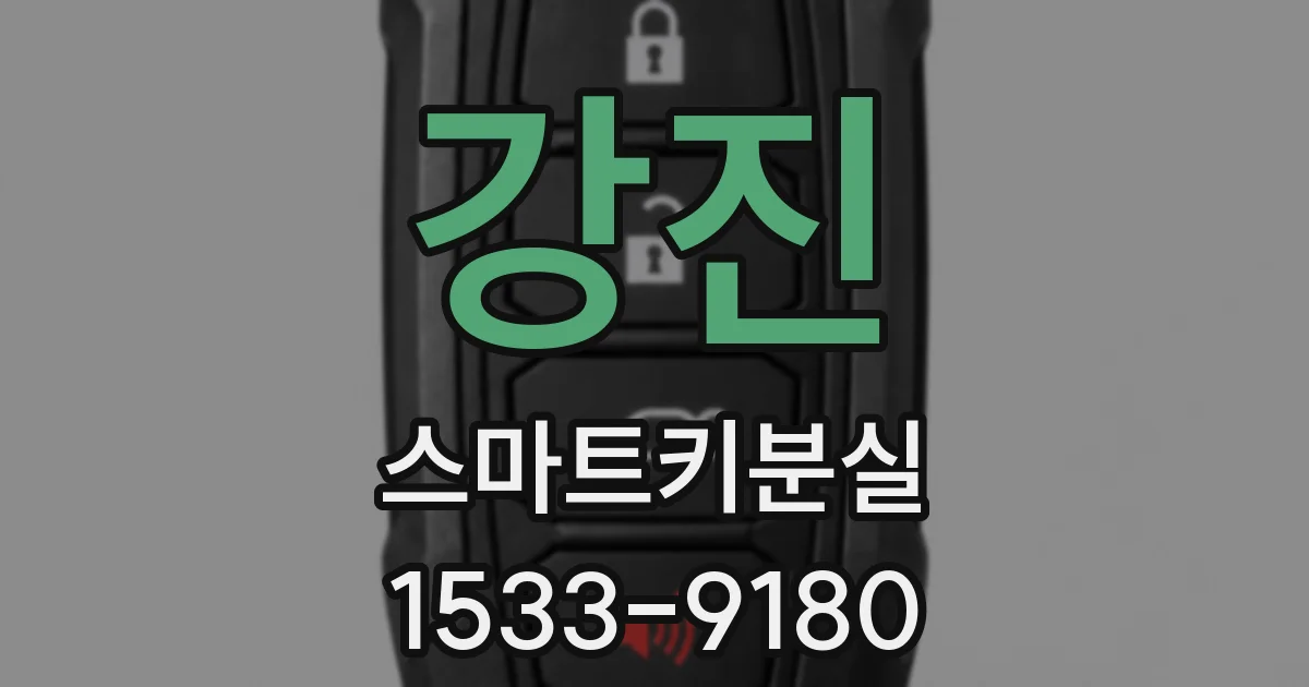 강진 스마트키분실
