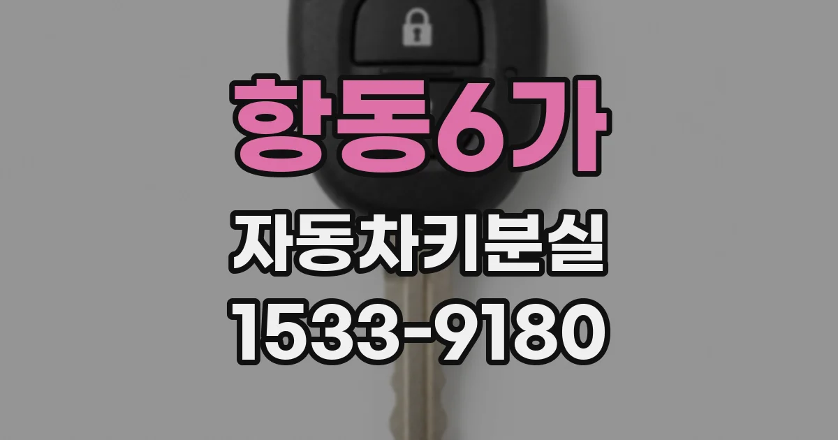 항동6가 자동차키분실