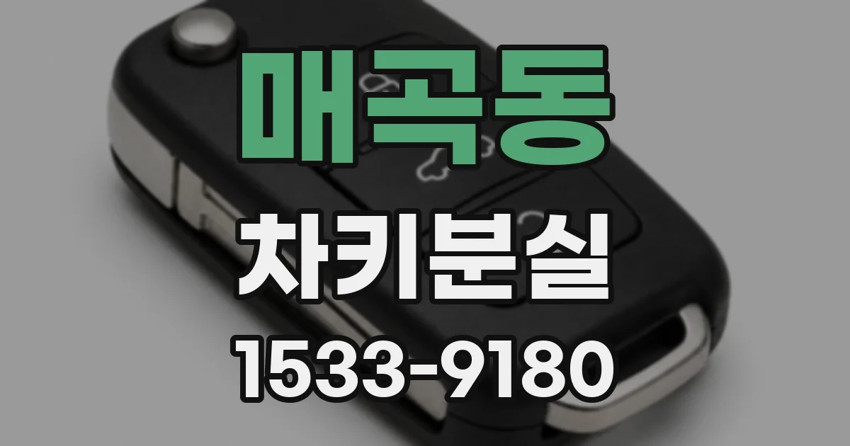 매곡동 차키분실