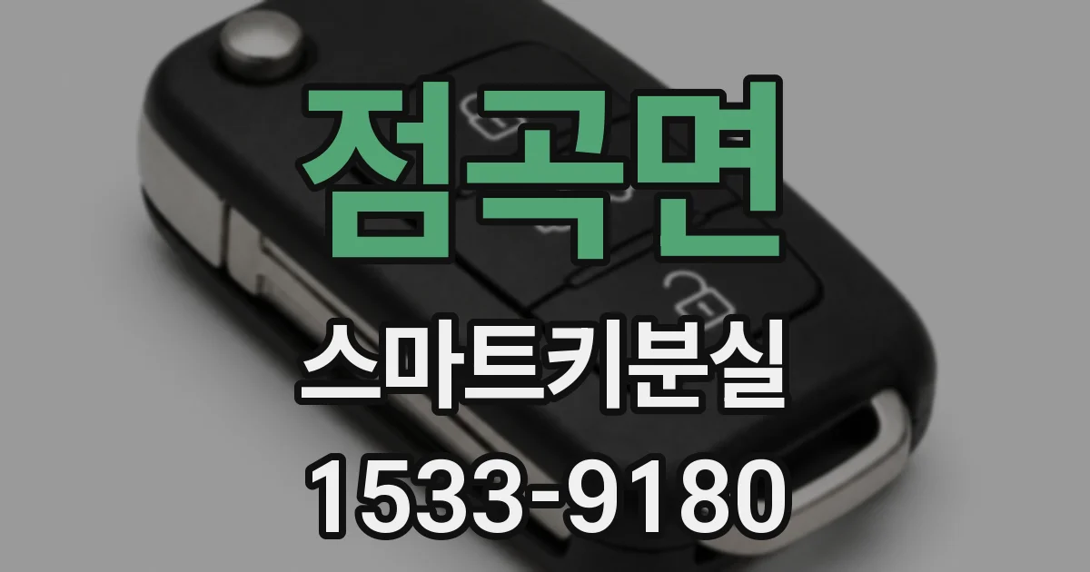 점곡면 스마트키분실