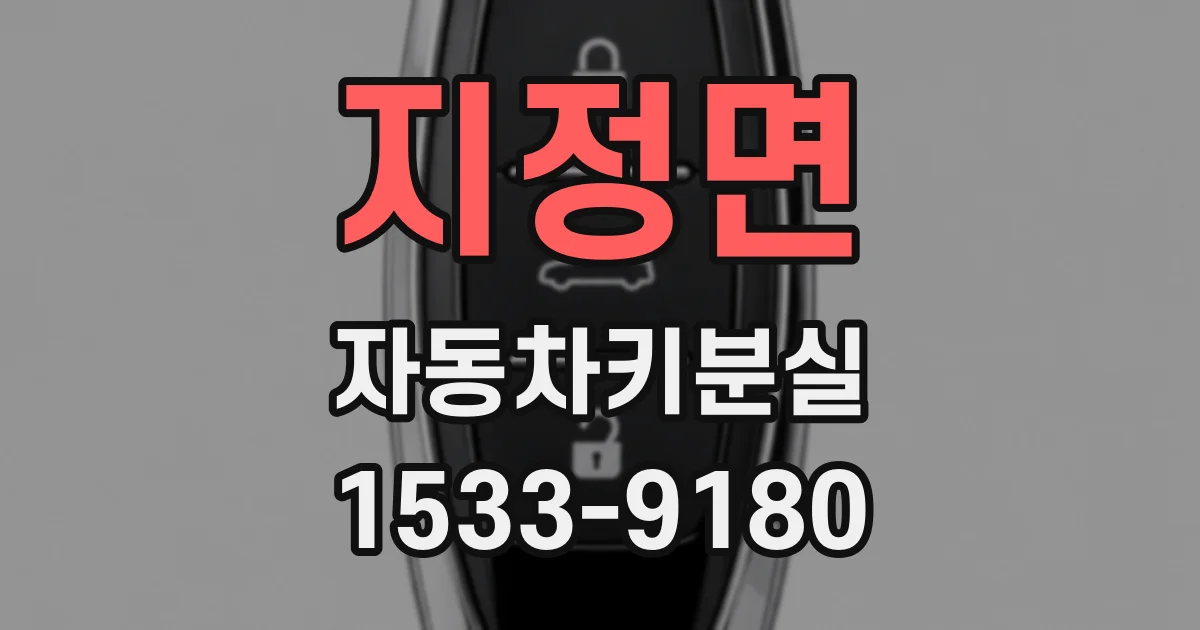 지정면 자동차키분실