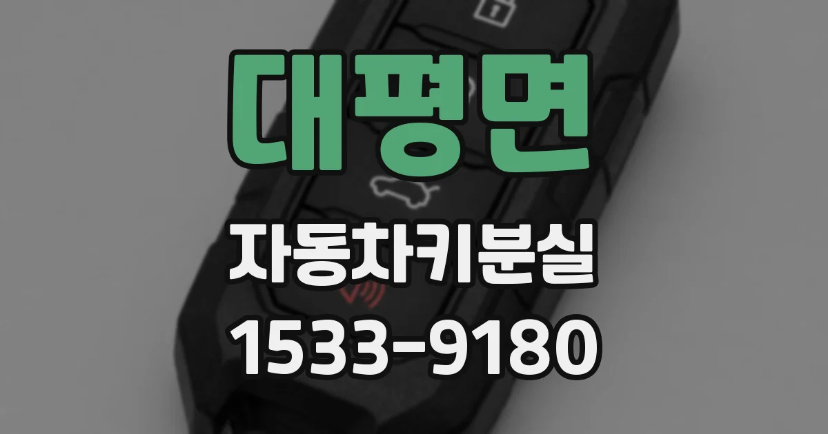 대평면 자동차키분실