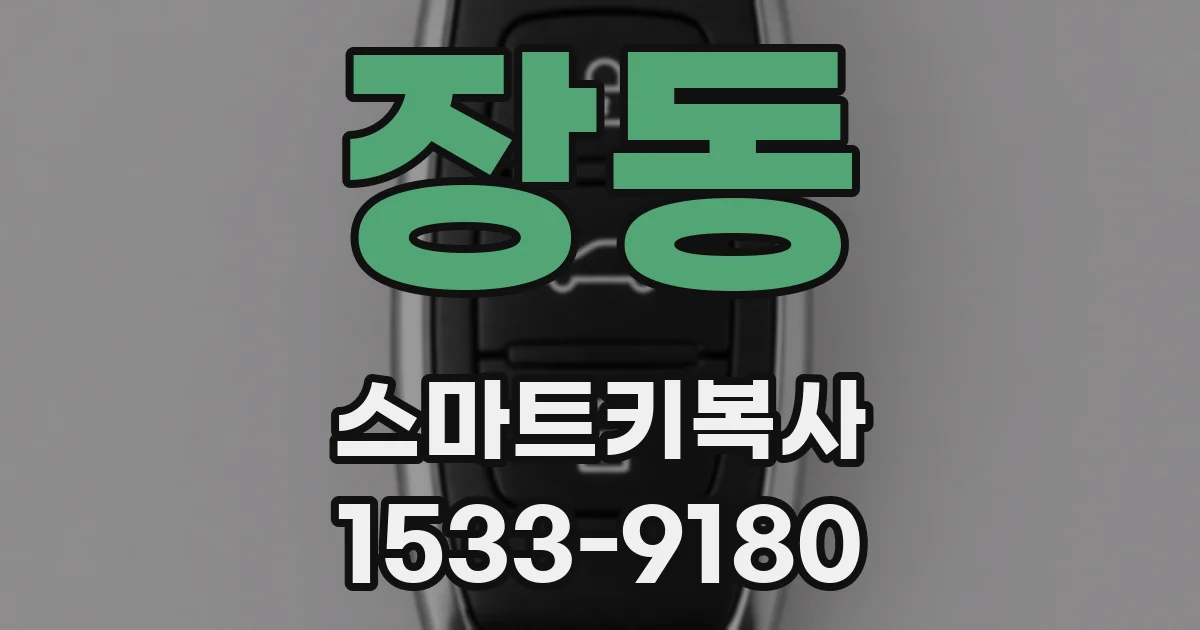 장동 스마트키복사