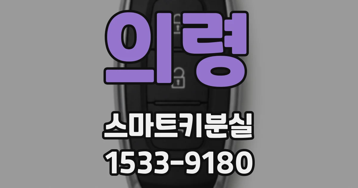 의령 스마트키분실