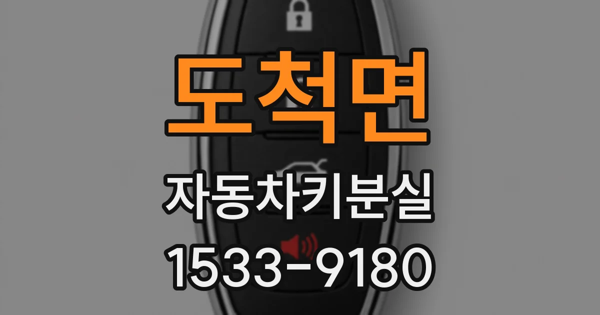 도척면 자동차키분실