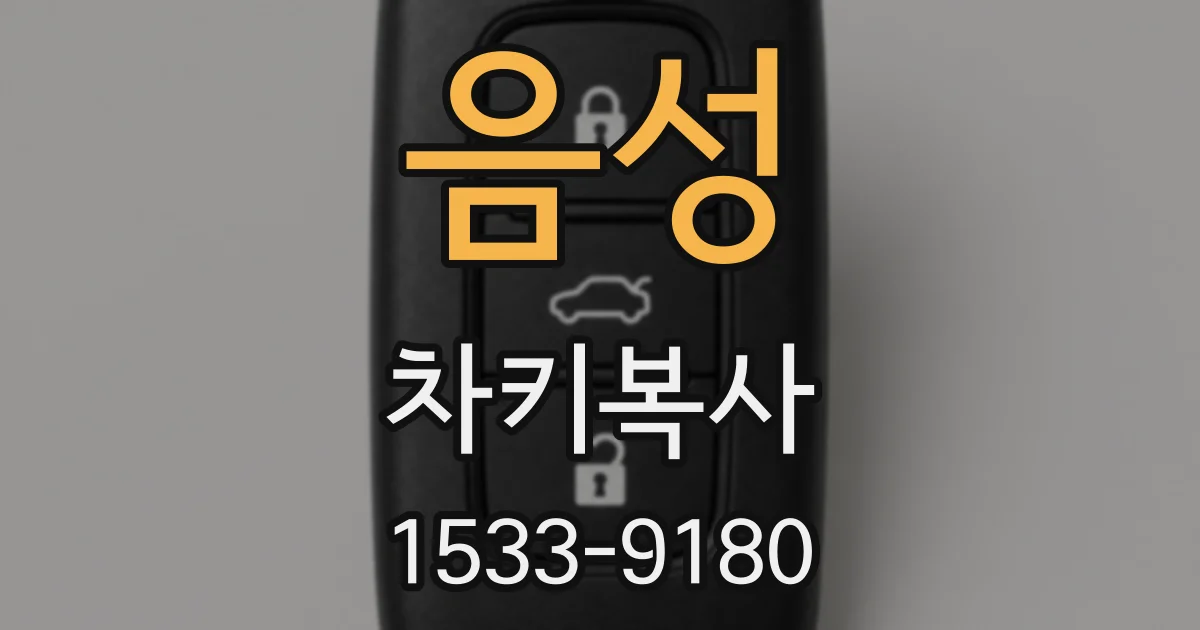 음성 차키복사