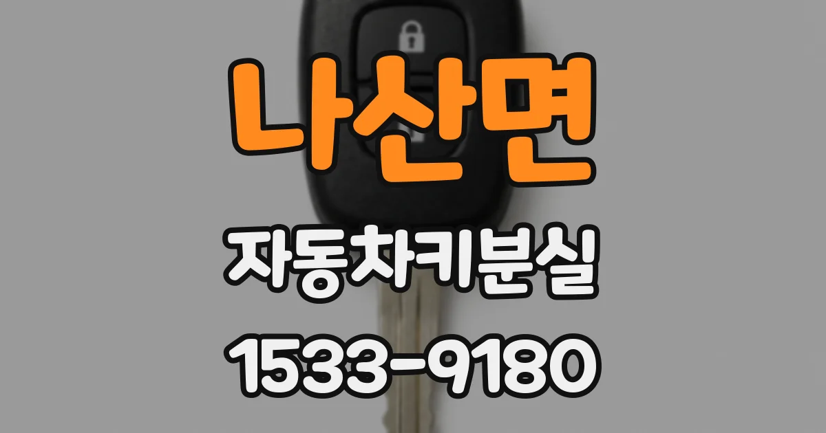 나산면 자동차키분실