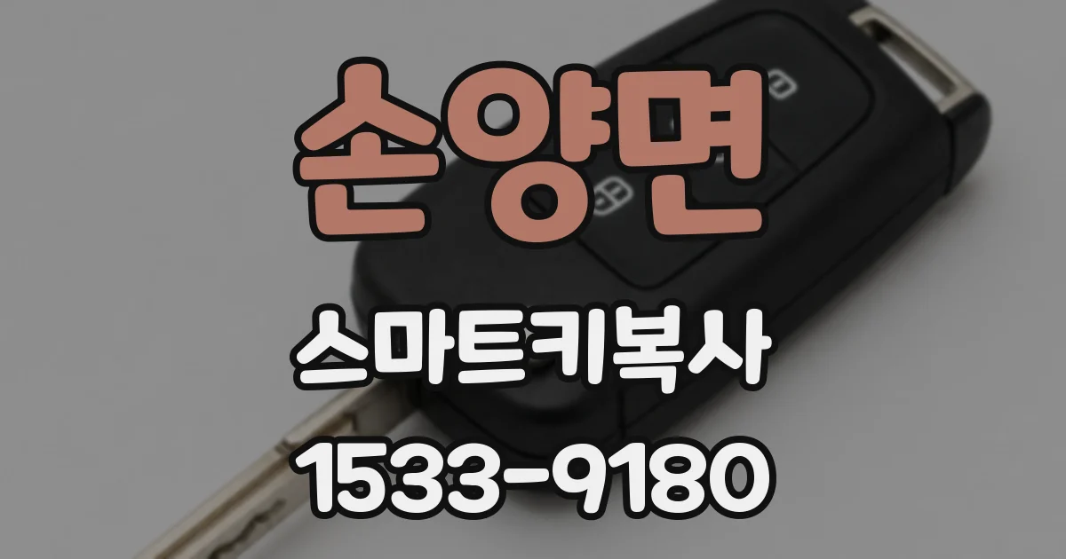 손양면 스마트키복사