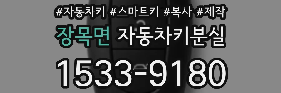 장목면 자동차키분실