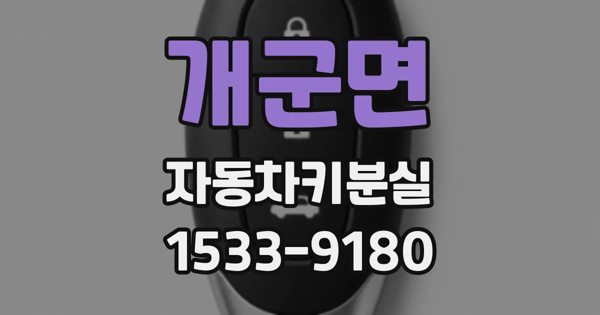 개군면 자동차키분실